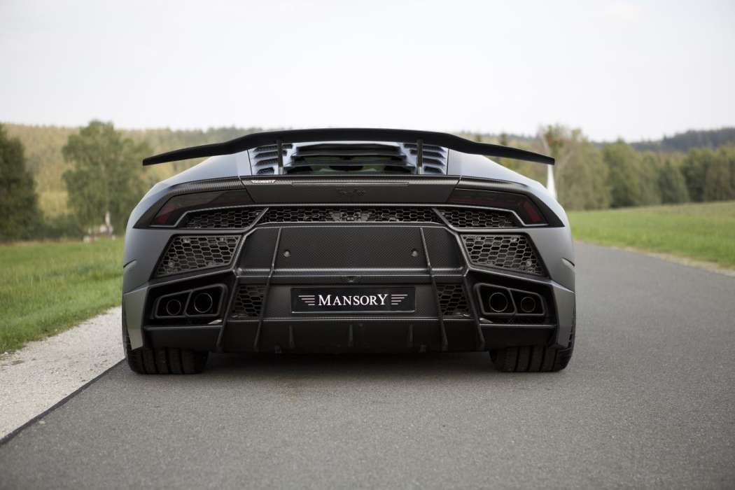 mansory_lamborghini_torofeo_05.jpg