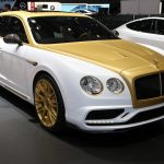 Mansory-Bentley-C1.JPG