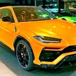 171128580_4486293924738233_6962533810445245156_n_auto_x2_colored_toned_2