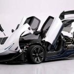 Angelilli Tipo 829 - Feature View
