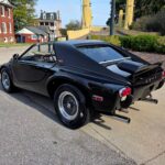 Meyers Manx Buggy - Feature View