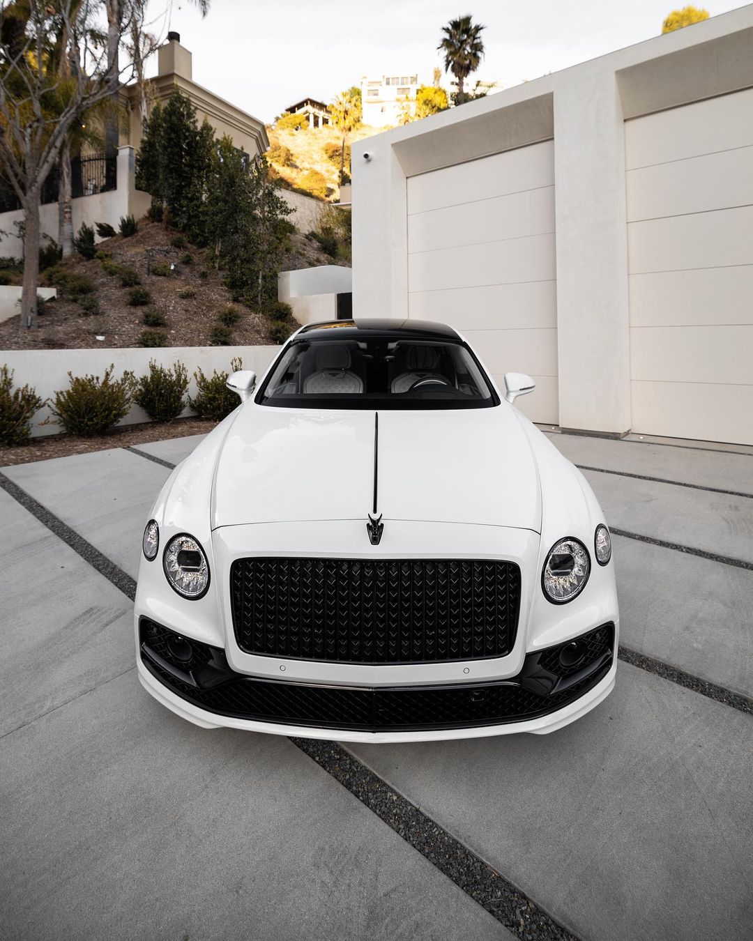 163993478_447332283143633_6020394142257228562_n