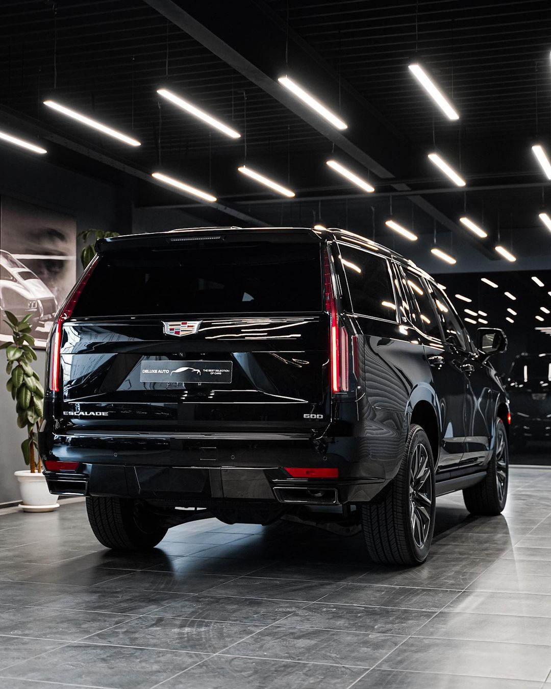 deluxe_auto_222718381_201582118568778_6953963920024783784_n