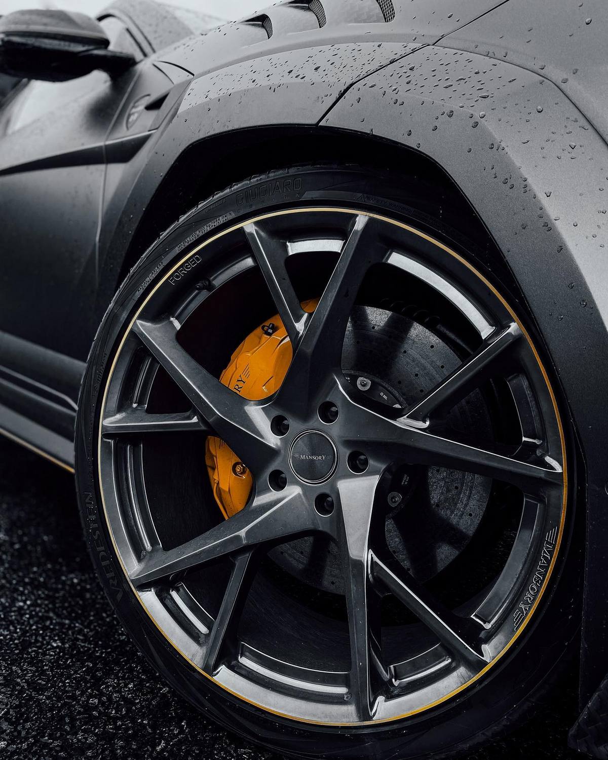 176130479_4783732751691471_306503160887411819_n