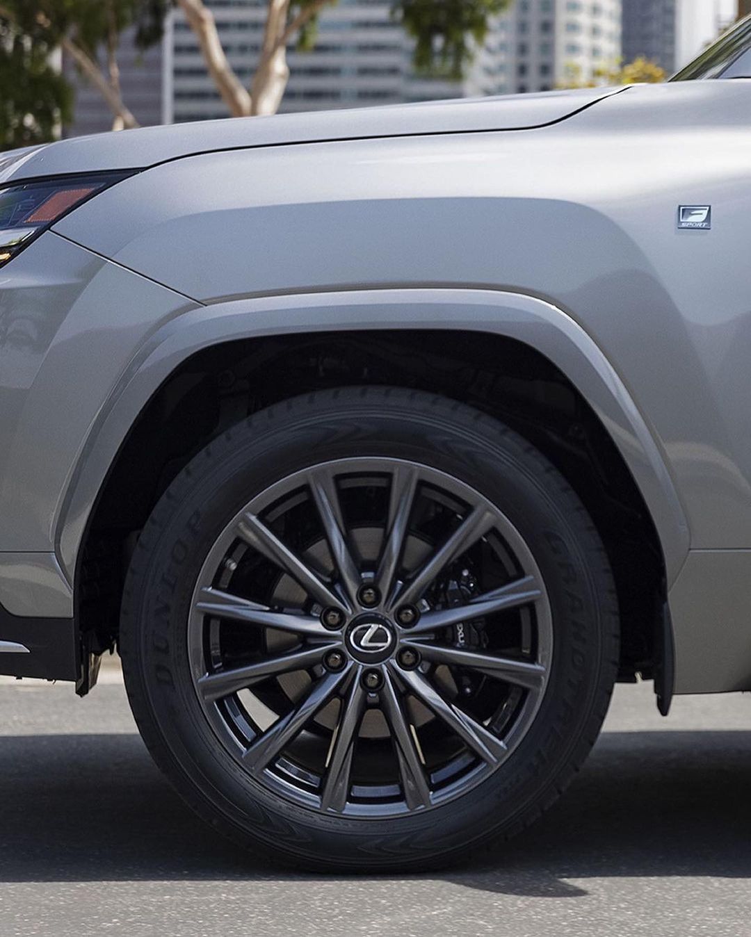 thesuvculture_245200501_1807210109666822_5894225979301814059_n