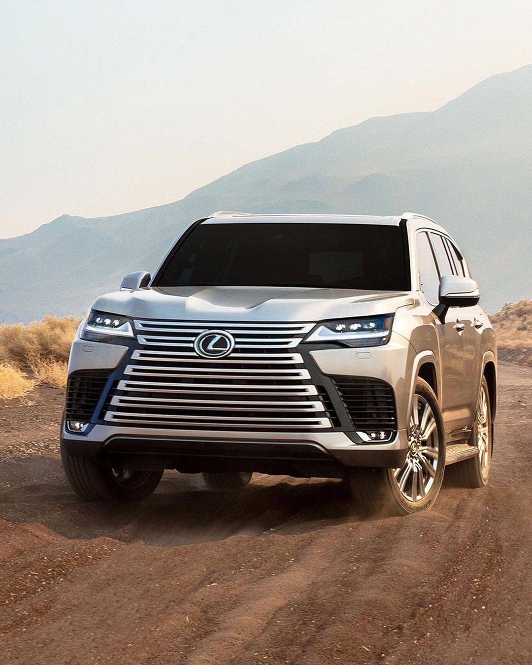 thesuvculture_245590779_589345758884201_1235906646036387655_n