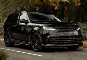 Full Black Overfinch - Feature View
